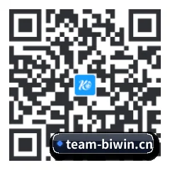 系统版 iOS 二维码
